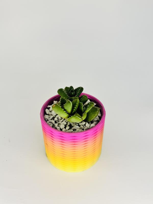 Double Spiral weave pot planter