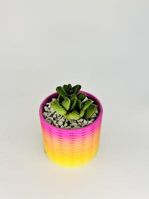 Double Spiral weave pot planter