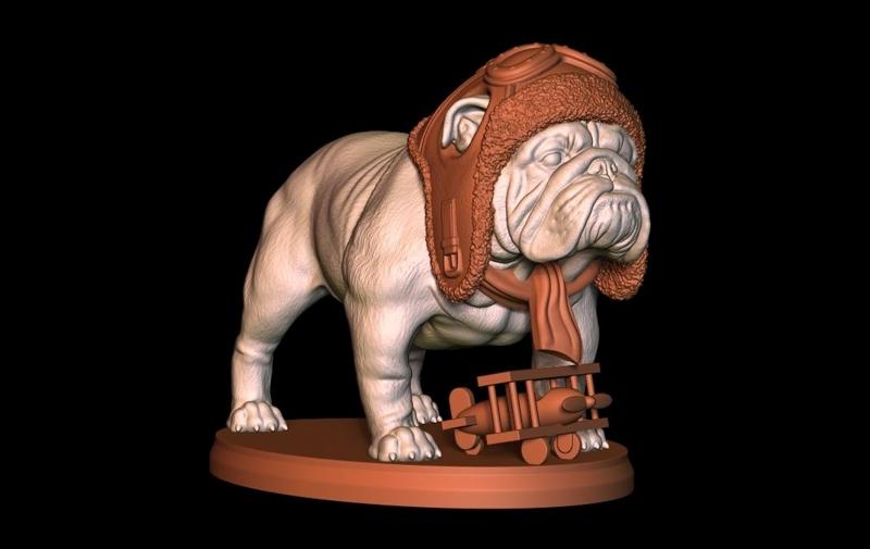 Bull dog english pilot