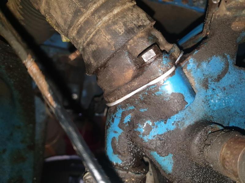 Fordson Dexta 1961 Thermostat Gasket