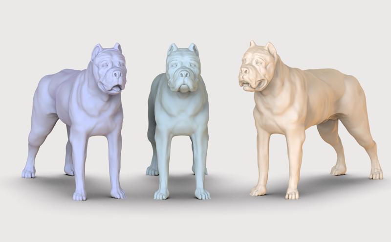 three dog breed Canne Corso