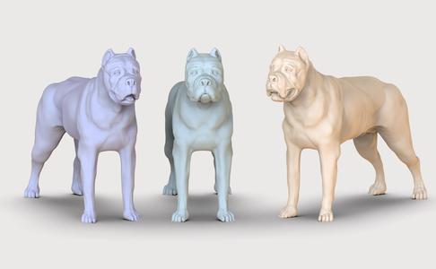 three dog breed Canne Corso