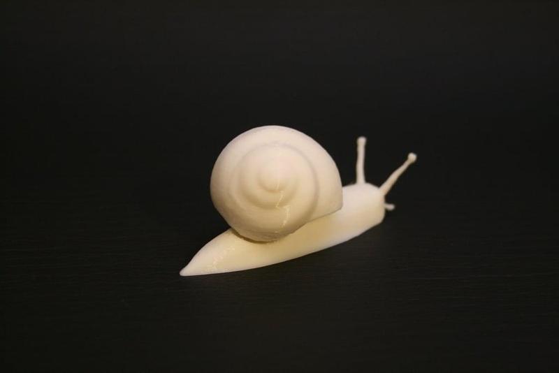 Realistic garden snail