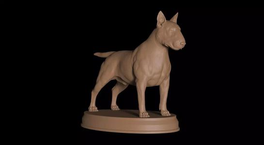 Bull Terrier