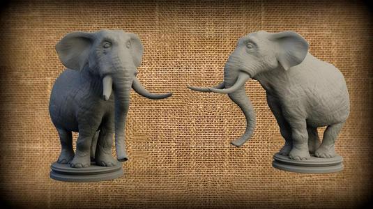 Elephant