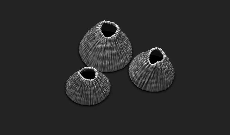Tetraclita Barnacles - Tetraclitidae 3D Print - Aquarium