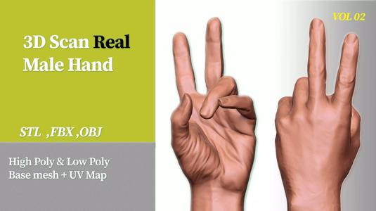 3D Scan of Real Male Hand VOL 02