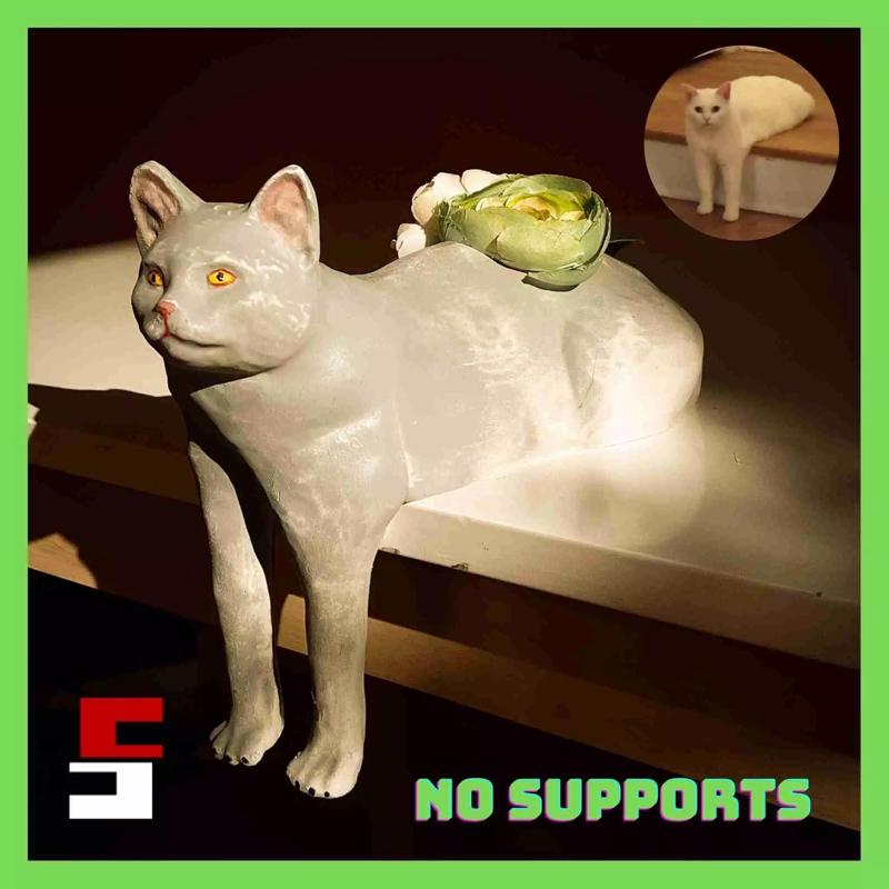 Cat Planter Pot Meme