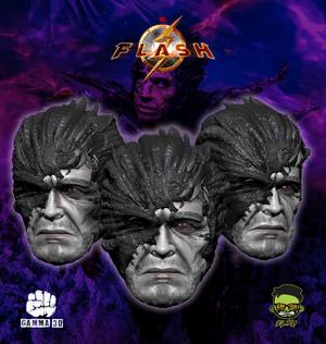 THE DARK FLASH