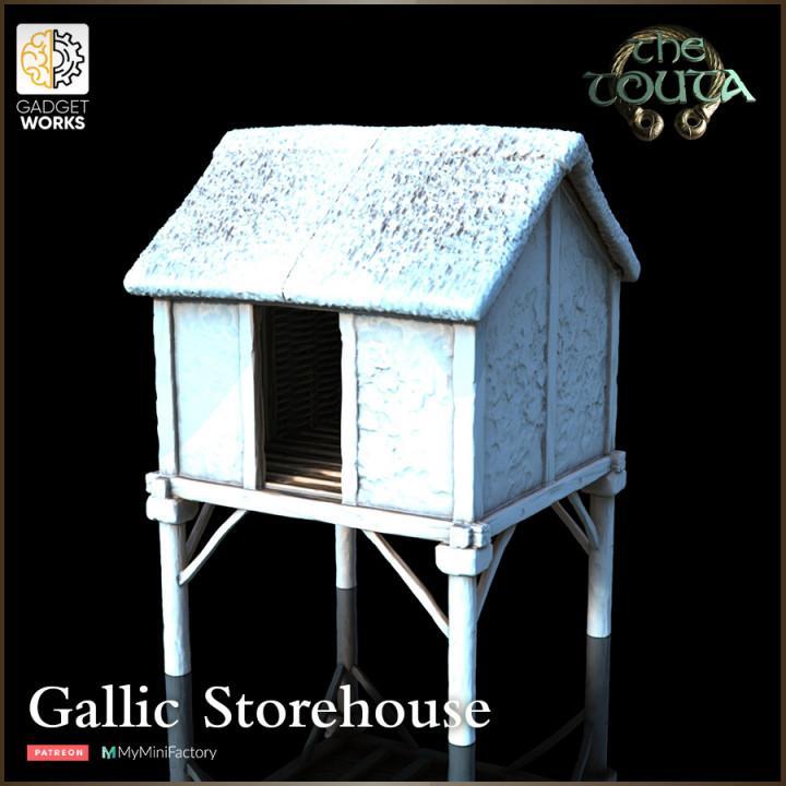 Gaul raised storehouse - The Touta