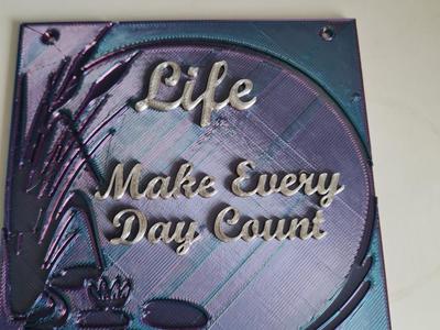 Wall Hanging Plaque - "Life Make Every Day Count