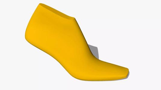 Female Shoe Last