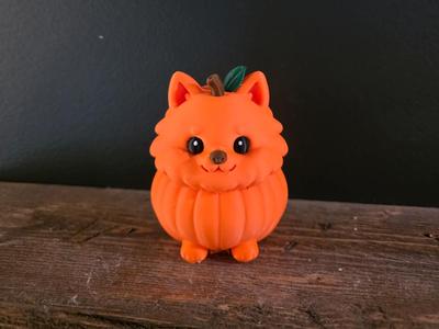 pumpkin pomeranian