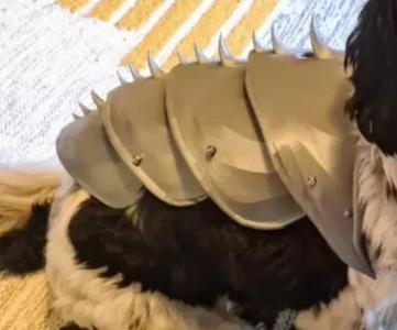 WAREABLE DOG ARMOR