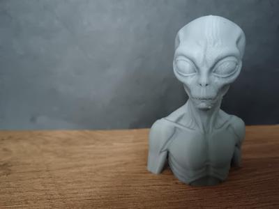 Alien bust
