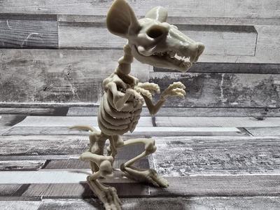 skeleton Mouse for halloween