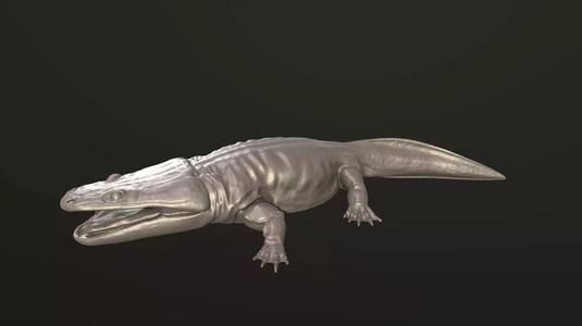 Metoposaurus alligator