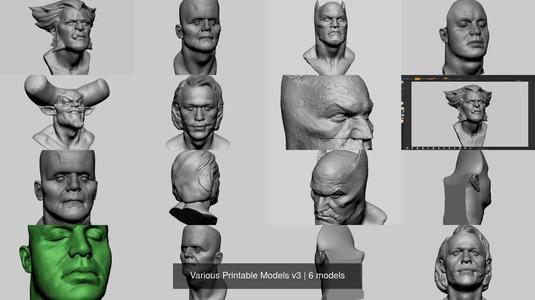 Various Printable Models v3 3D Model Collection