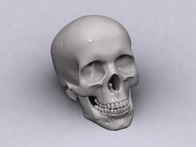 Skull r2