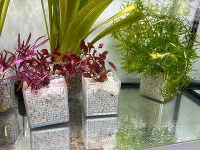 Planting basket for aquarium or garden