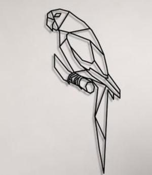 Loro geométrico decorativo dos modelos