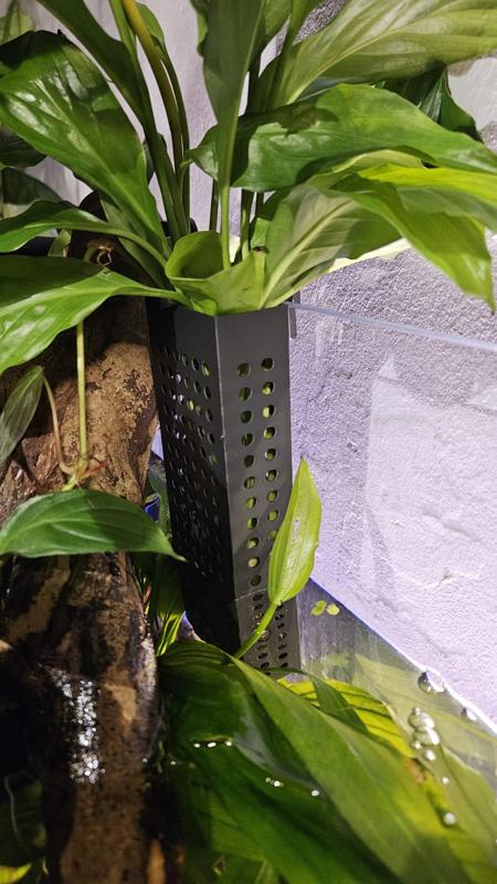 Aquarium Plant Holder