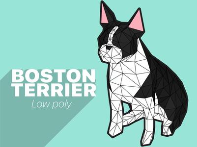 Boston Terrier - Low poly