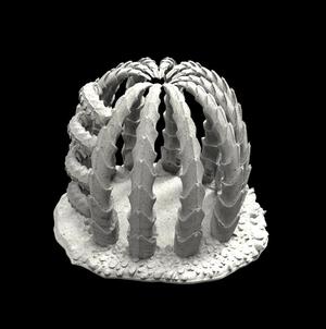 Cage Decoration B0905