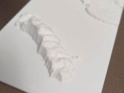 Kapiti Island, New Zealand