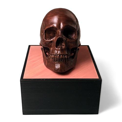 Anatomical Human Male Skull | Foundation Series