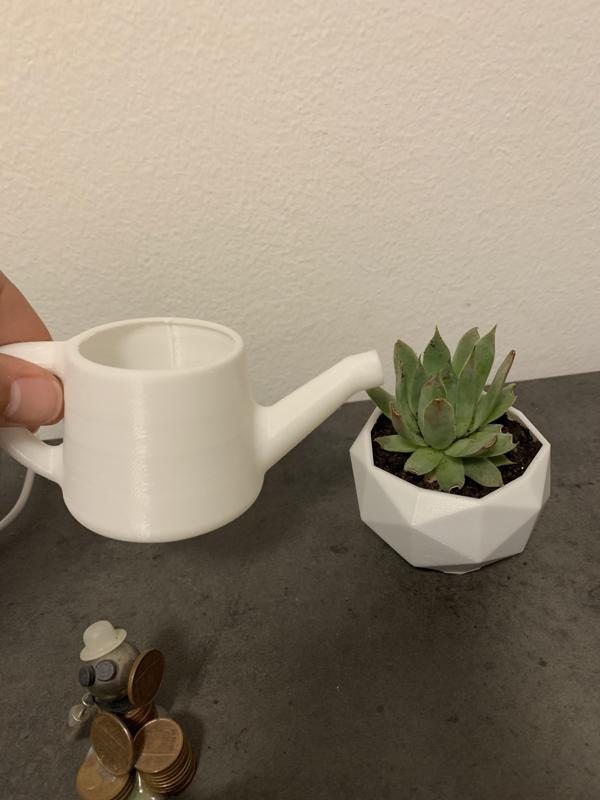 Mini Watering Can