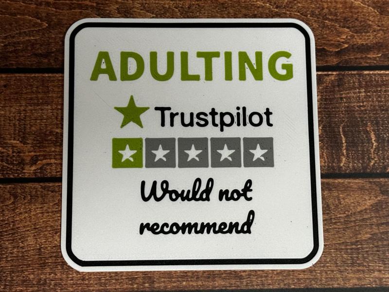 Adulting - Would not recommends - drinks coaster