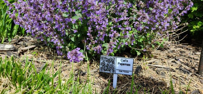 QR Code Plant Tag