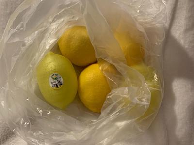 Fake Plastic Lemon Maraca