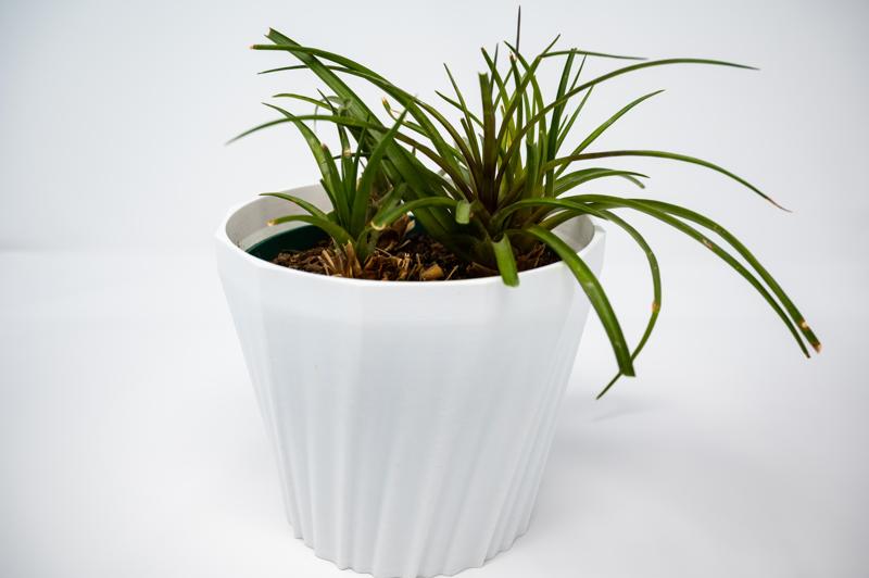 6in Diameter Planter