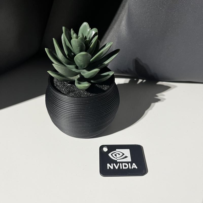 NVIDIA KEYCHAIN