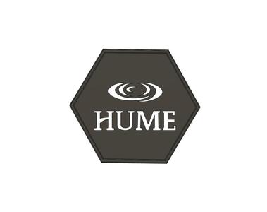 6" Hexagon Hume Lake