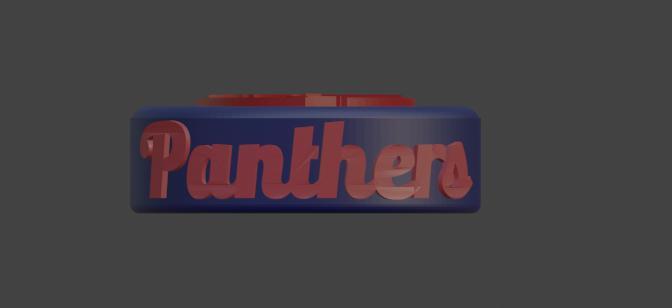 Florida Panthers Hockey Puck
