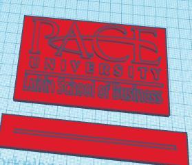 pace univerity plague