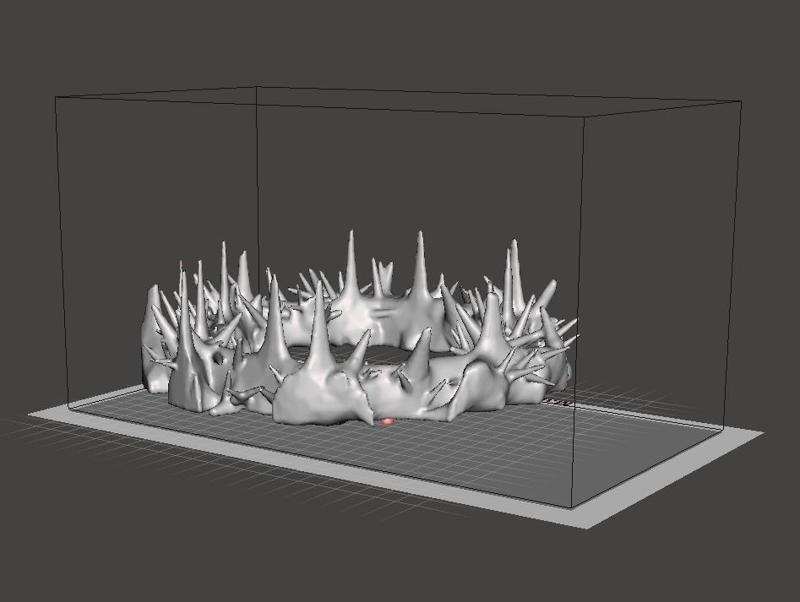 Crown of thorns - now with more thorns!