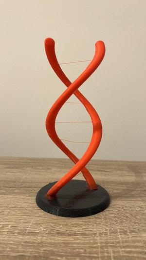 DNA String art