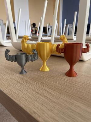 Gym PowerLifting Trophy