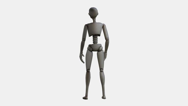 Doll Robotic Skeleton