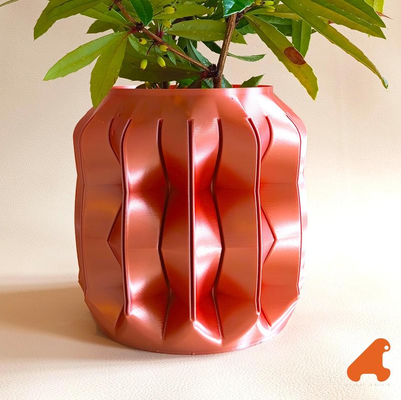 POT POUR PLANTE CABOSSE