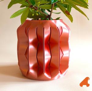 POT POUR PLANTE CABOSSE