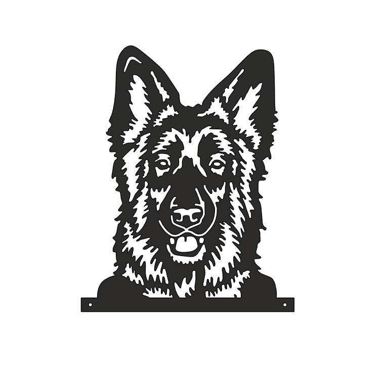 Alsatian - German Shepherd Dog