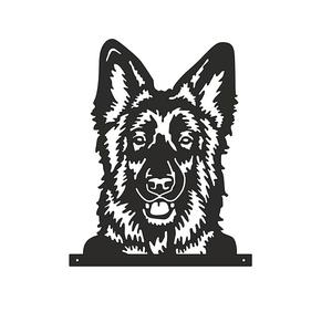 Alsatian - German Shepherd Dog