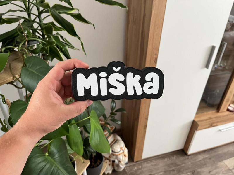 Miška - light box ( Michaela )