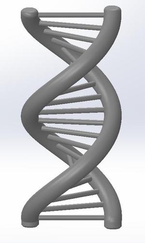 DNA Spiral