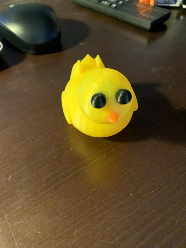 Duck Model
